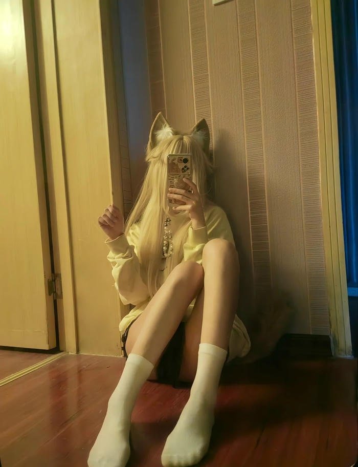 Ánh nhìn tinh nghịch concept mèo dễ thương