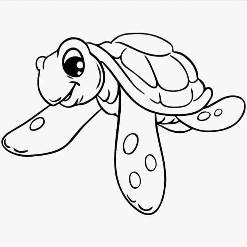 Ảnh tô màu rùa đường nét rõ ràng dễ nhận diện