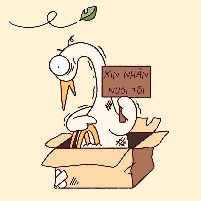 Cuối tháng ai cũng từng trải qua hết tiền meme