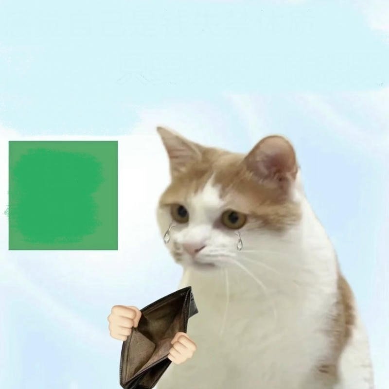 Cuối tháng quen thuộc với hình ảnh ví rỗng meme