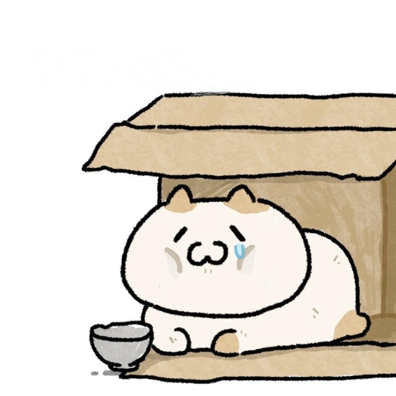 Góc nhìn bựa nhẹ về hết tiền trong meme xin tiền