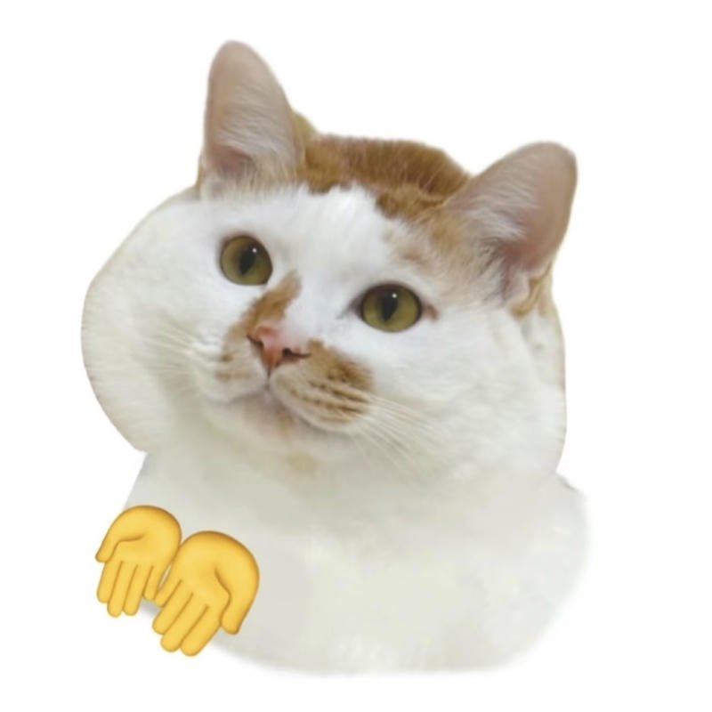 Góc nhìn thực tế về tài chính trong meme xin tiền