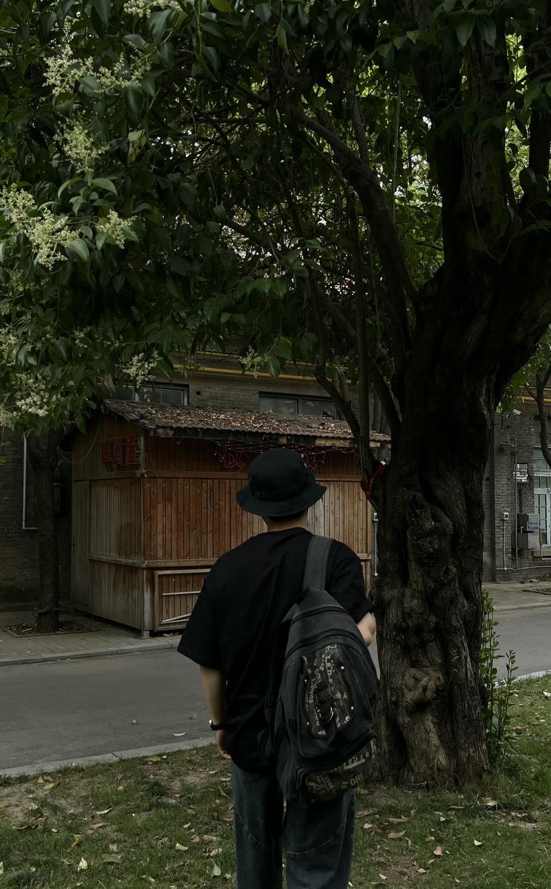 Hình ảnh bóng lưng chàng trai giữa không gian yên tĩnh