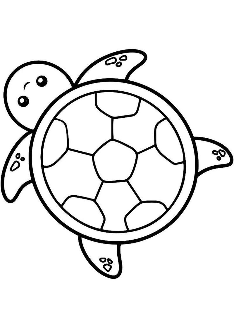 Hình ảnh rùa tô màu phong cách ngộ nghĩnh