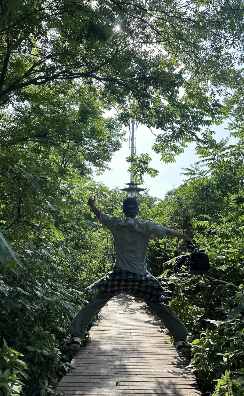 Hình nền bóng lưng chàng trai trước cây xanh