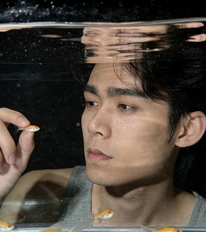 Khoảnh khắc trầm lặng của chàng trai giữa bể cá