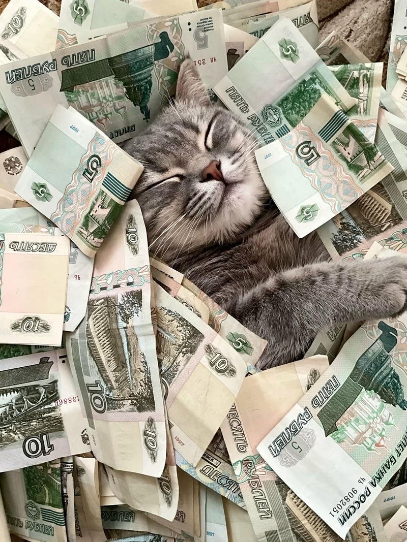 Niềm vui nhẹ nhàng khi dư tiền trong meme tiền