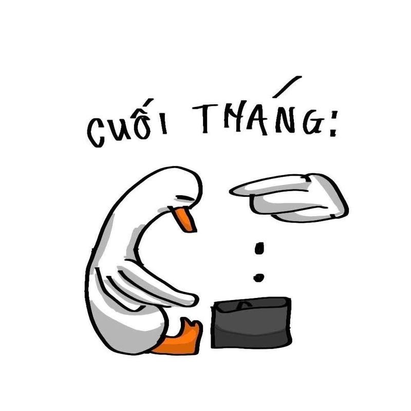 Sống tối giản bất đắc dĩ vì hết tiền meme