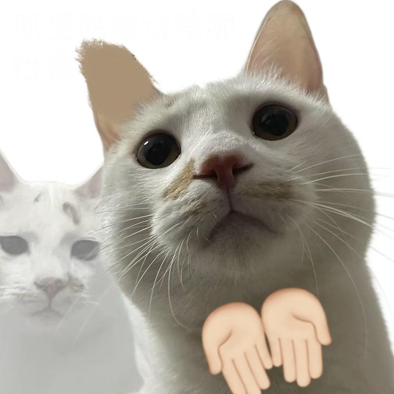 Tình huống khó xử được thể hiện qua meme xin tiền