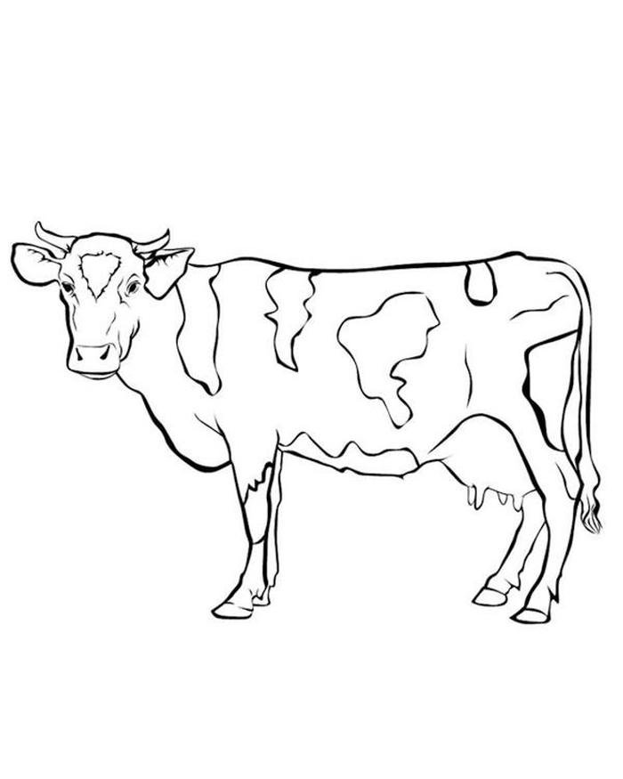 Tô màu con bò nét vẽ đáng yêu rất sinh động