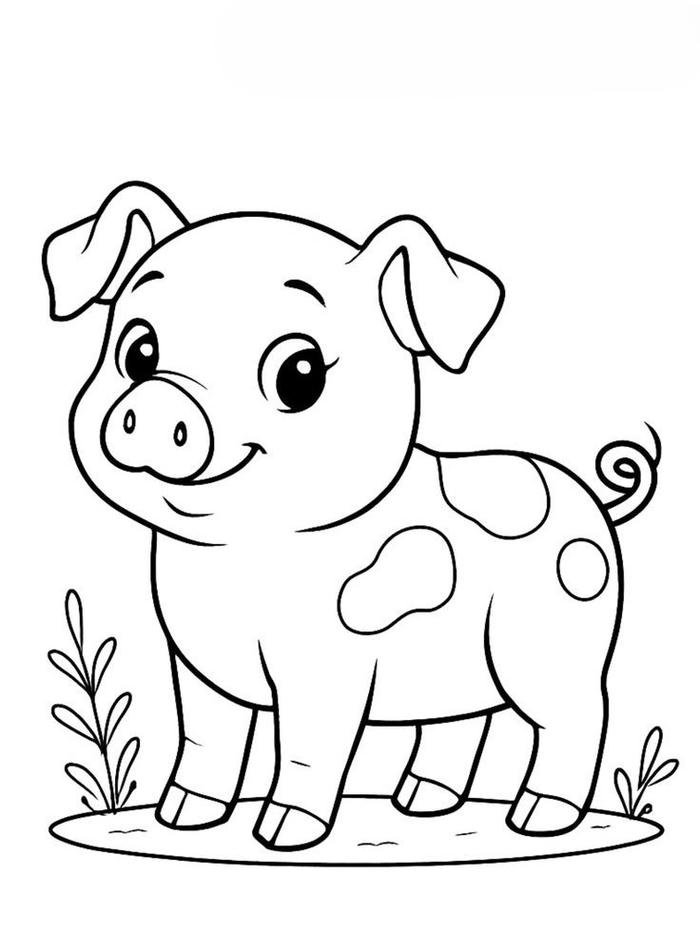 Tô màu con heo nét vẽ rõ ràng tạo hình dễ thương