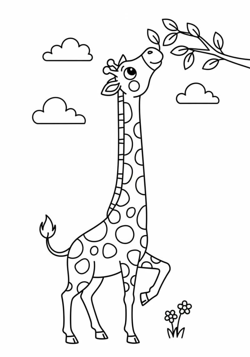 Tô màu hươu cao cổ đường viền nổi bật dễ thao tác