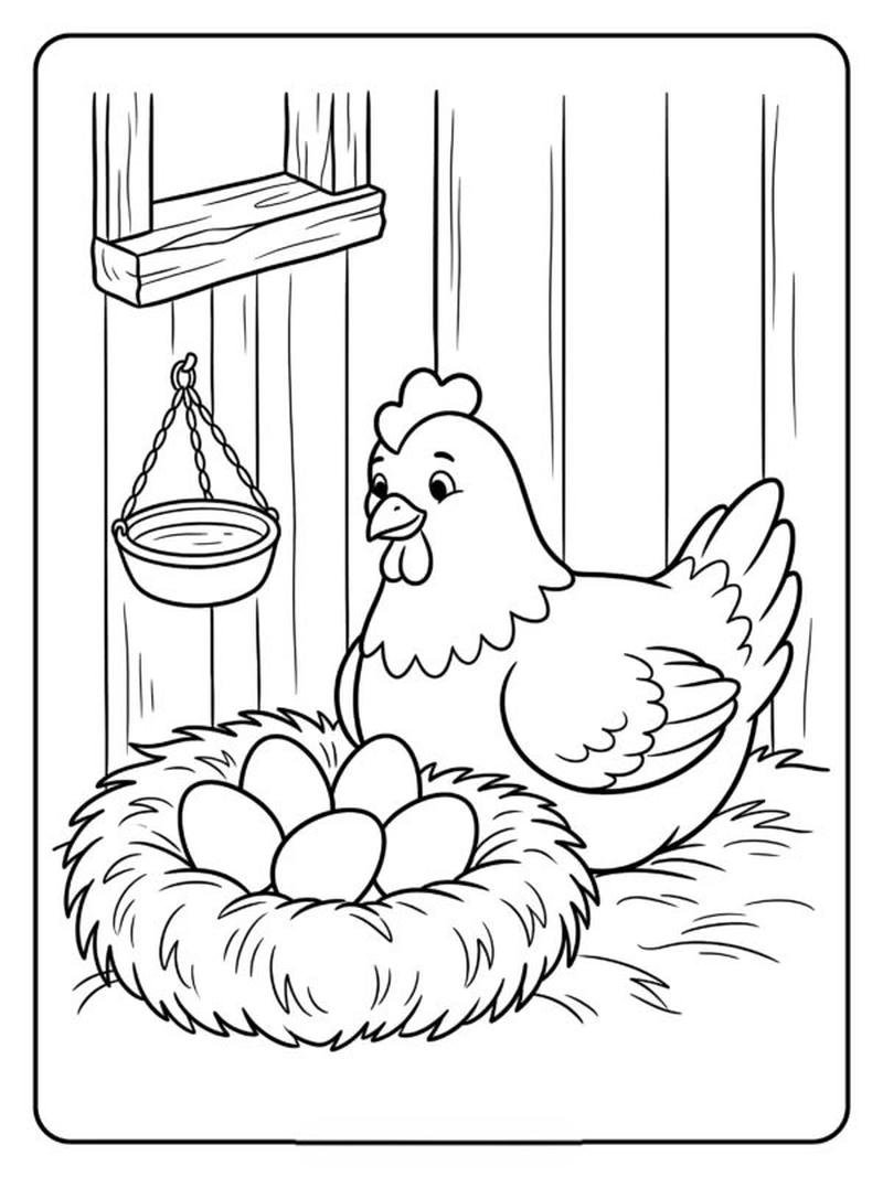 Tranh tô màu con gà chi tiết hài hòa dễ quan sát