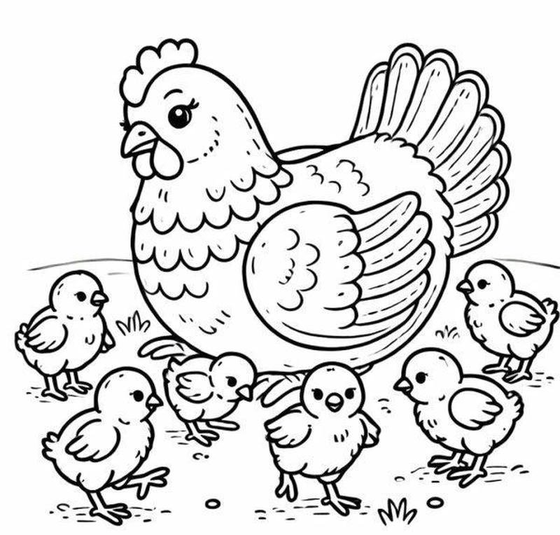 Tranh tô màu con gà đường nét mạch lạc dễ tô