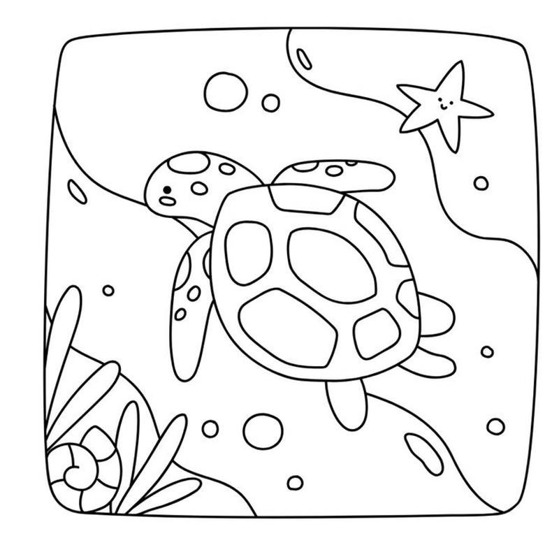 Tranh tô màu con rùa bố cục đơn giản dễ nhìn
