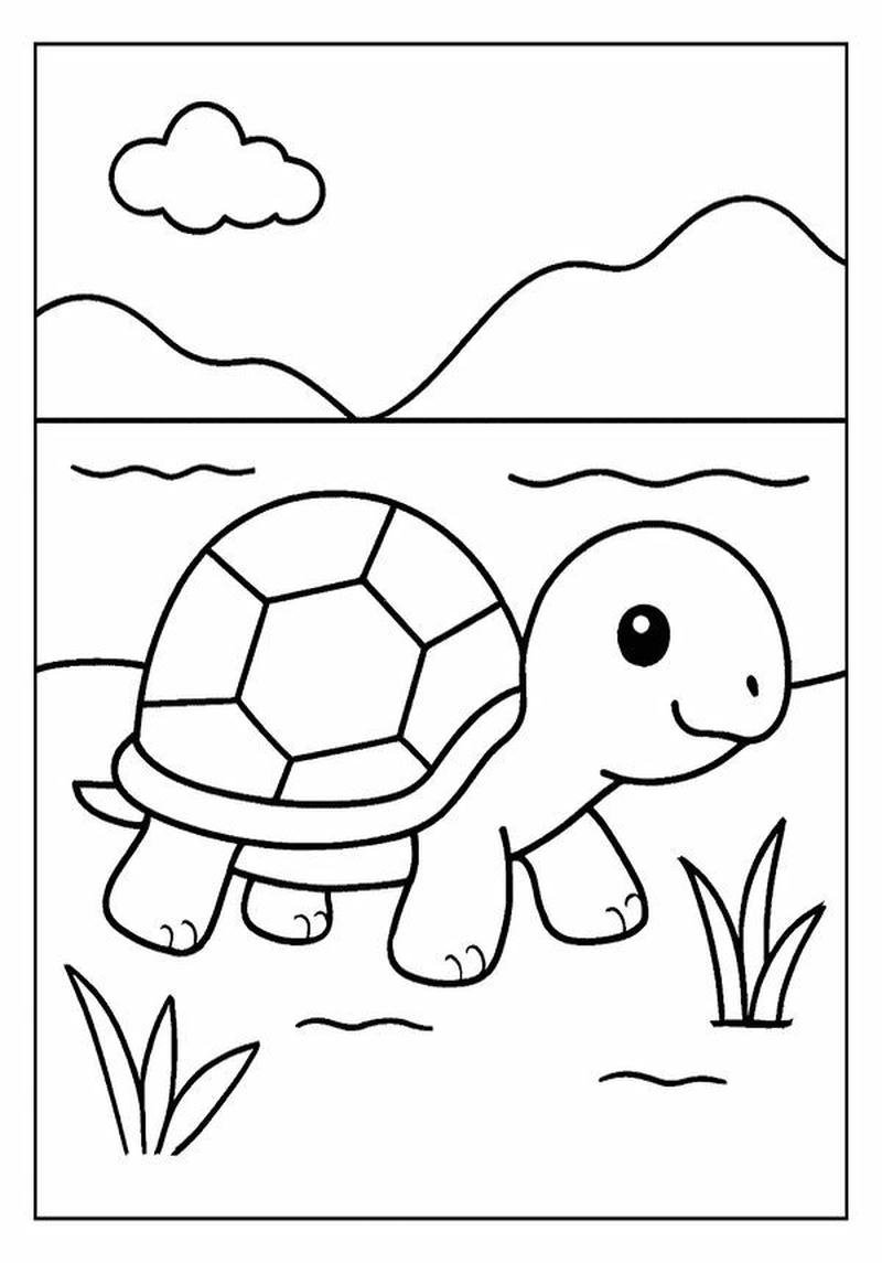 Tranh tô màu con rùa hình ảnh thân thiện gần gũi