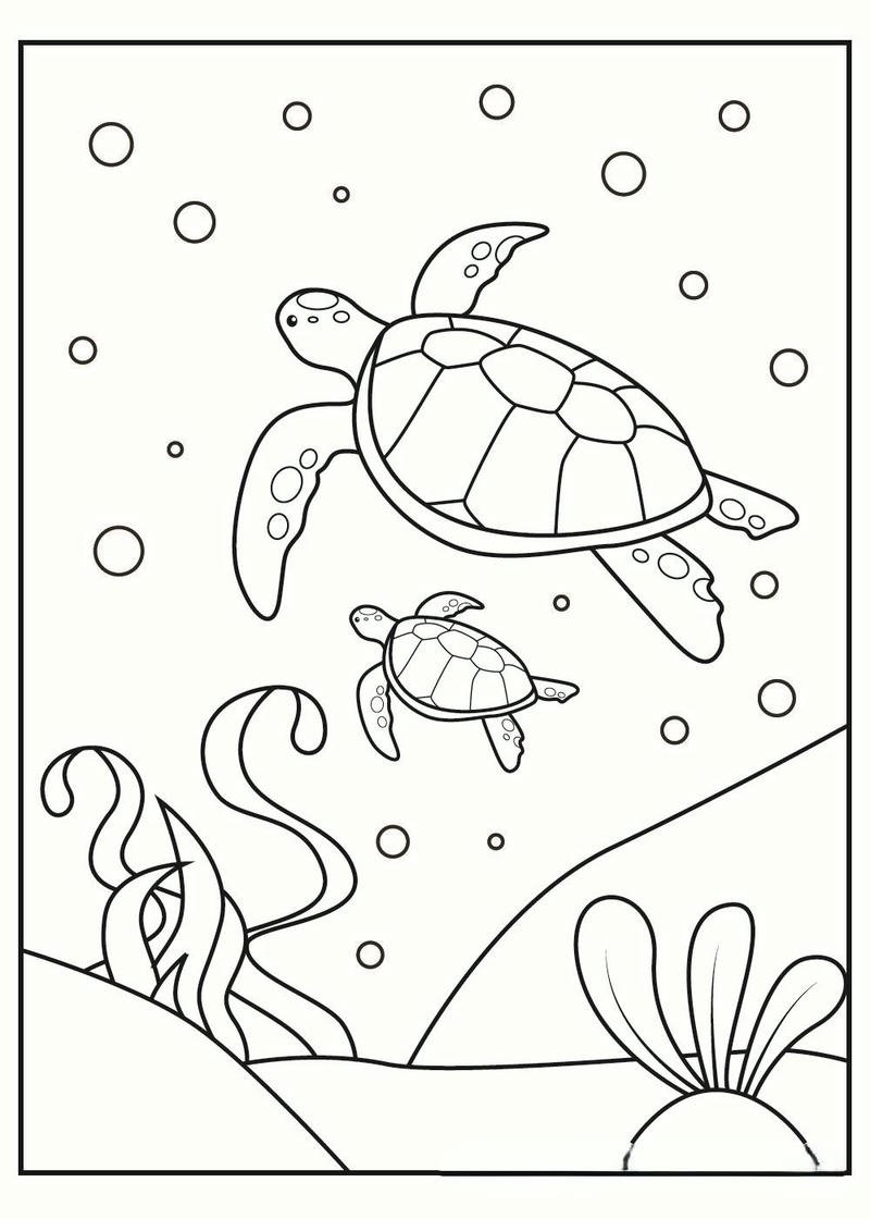Tranh tô màu con rùa nét vẽ rõ ràng dễ tô