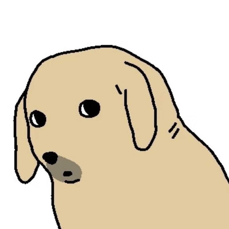 Bức meme chó bựa với ánh mắt cực gắt