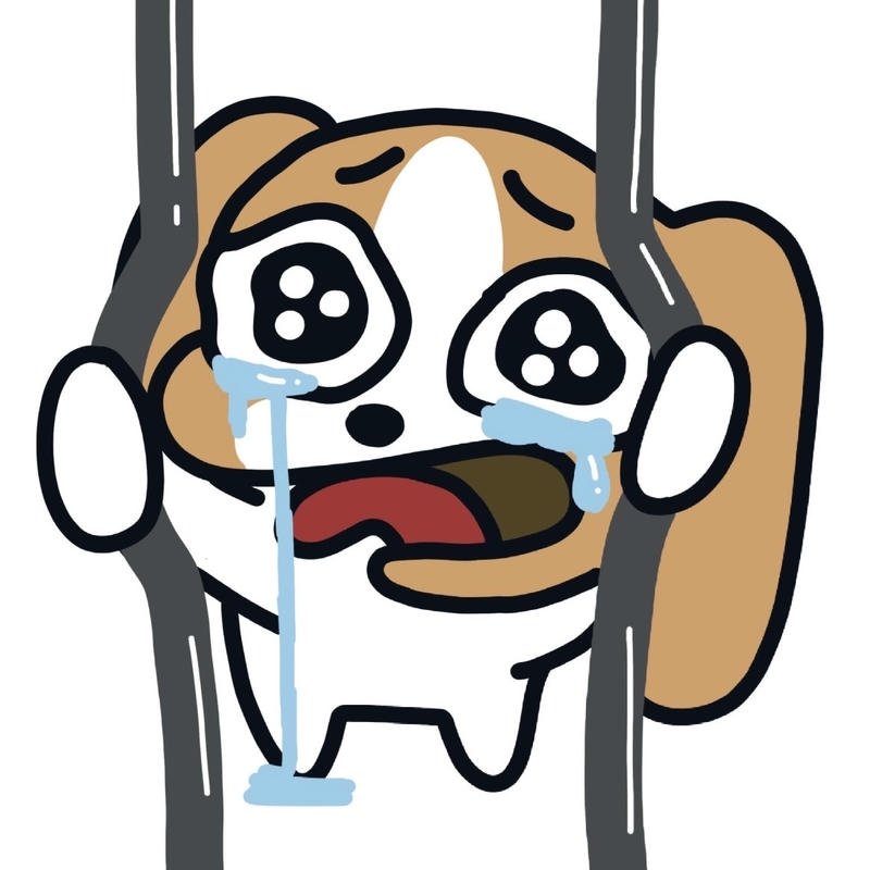 Meme chó bựa với gương mặt gây cười cực mạnh