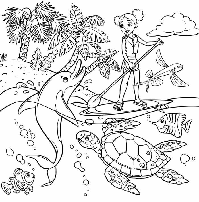 Tô màu con cá heo đường nét mềm mại tạo cảm giác dễ chịu