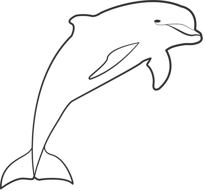 Tranh tô màu con cá heo thiết kế đẹp mắt dễ thực hiện