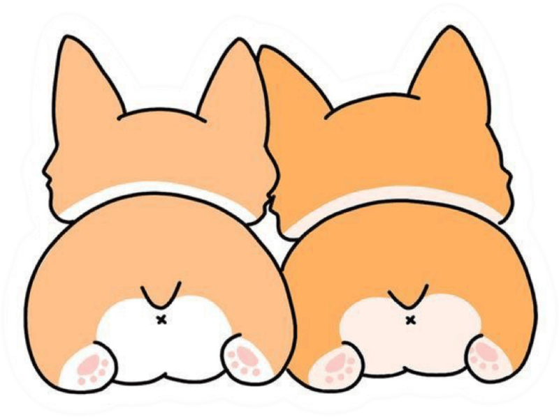 Ảnh sticker chó Shiba mang cảm giác vui vẻ tự nhiên